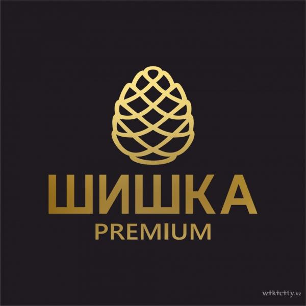 Локация ШИШКА Premium Karaoke Lounge